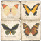 Colorful Butterfly Coaster Set. Handcrafted Marble Giftware by Studio Vertu.