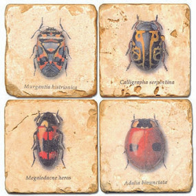 Colorful Bug Coaster Set. Hand Made Marble Giftware by Studio Vertu.