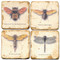 Flying Bugs Coaster Set. Handcrafted Marble Giftware by Studio Vertu.