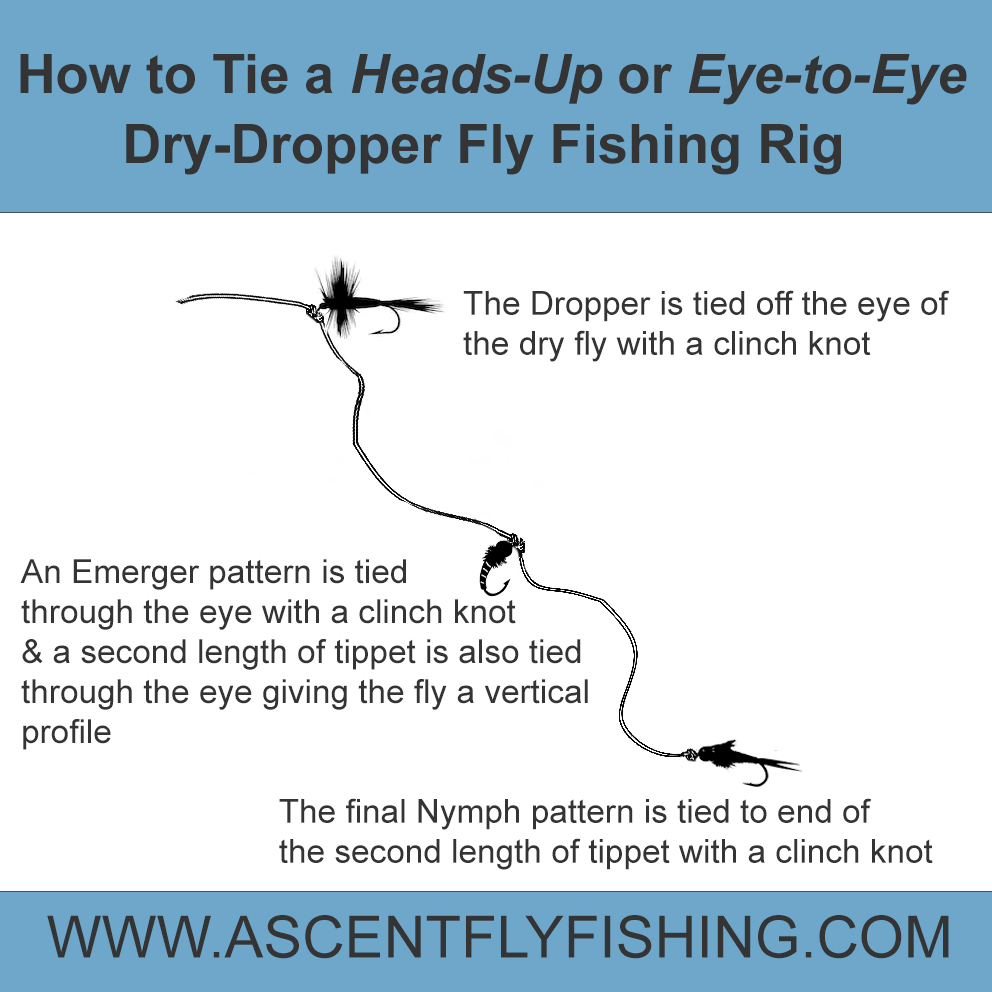 How to Tie & Fish a Heads-Up (Eye to Eye) Fly Fishing Rig - Ascent Fly  Fishing