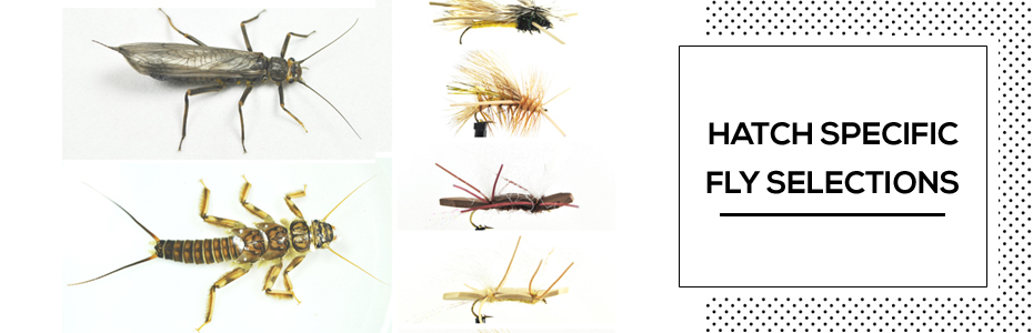 Hatch Specific Fly Selections