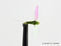 BWO CDC Pearlwing Spinner