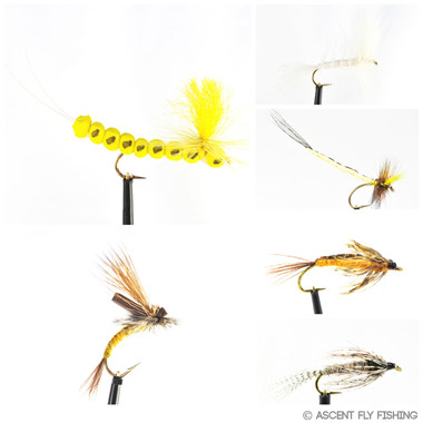 Hex Mayfly Selection