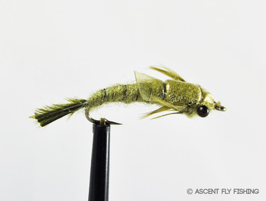 Details about   12 Mini Damsel Nymphs Set Fly Fishing Still Water Rainbow Trout Flies Selection 