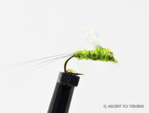 Olive Sparkle Wing RSII