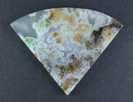 Rare Horse Canyon Plume Agate - Green, Orange and White Plumes  #14600