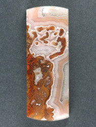 Pink Agua Nueva Moss/ Fotification Agate Cabochon 12908