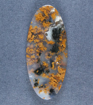 Fantastic Black and Gold Texas Moss Agate Cabochon  #17115