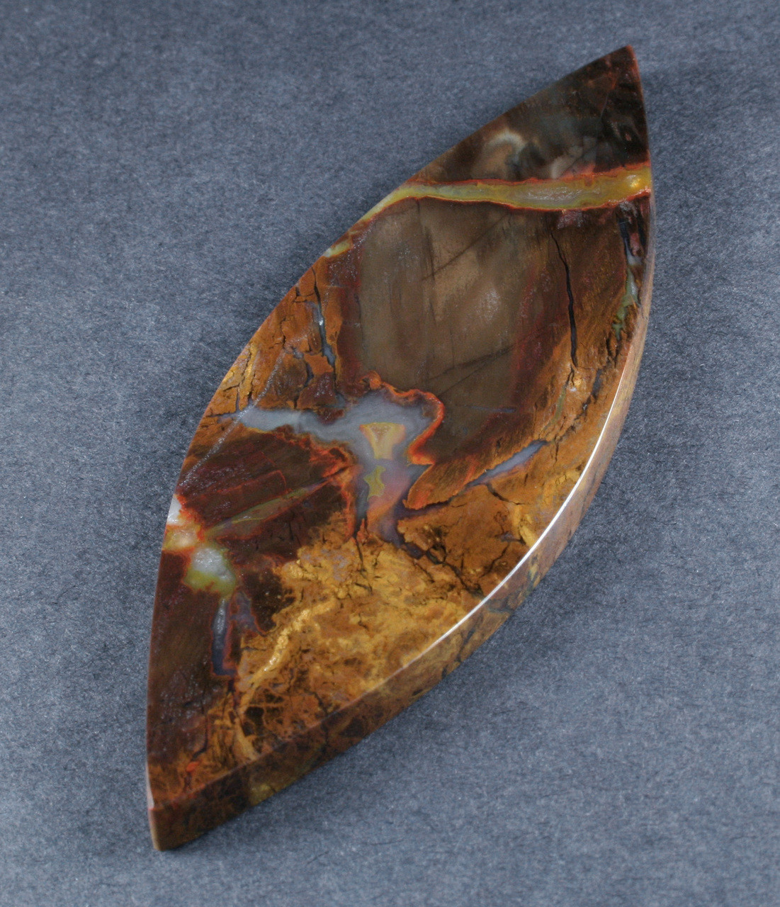 Jewelry Beauty Hubbard Basin Petrified Wood Cabochon Jewelry Making Beading
