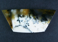 Gorgeous Old Stock Spanish Point Dendritic Agate Cabochon #18225