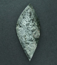 Gorgeous Dendritic Native Silver Ore Cabochon  #18931