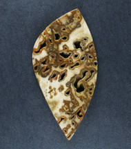 Pocket Rot Petrified Wood Designer Cabochon  #19069
