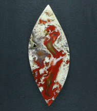 Red and Yellow Agua Nueva Moss/Plume Agate Cabochon  #19468