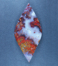 Dramatic designer cabochon of Bloody Basin Plume Agate   #19702