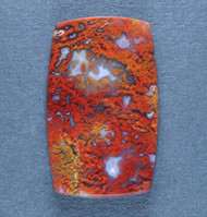 Dramatic Cabochon of Bloody Basin Plume Agate   #19742