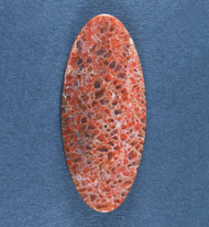 Beautiful Agatized Dino Bone Cabochon- Red and Pink   #19962