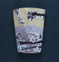 Gorgeous Sonoran Dendritic Rhyolite Designer Cabochon  #19988