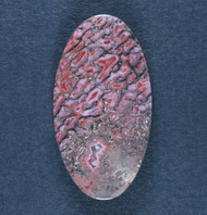 Beautiful Pink, Red and Blue Agatized Dino Bone Cabochon  #20082