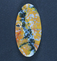 Exceptional Old Stock Stone Canyon Jasper Cabochon   #20129