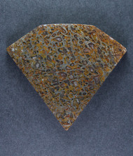 Dramatic Top Shelf Agatized Dino Bone Cabochon- Green and Gold   #20174