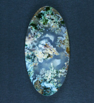 Rare Horse Canyon Plume Agate Designer Cabochon  #20392