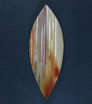 Gorgeous Louisiana Petrified Palm Wood Designer Cabochon #20594