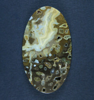  Pocket Rot Petrified Wood Designer Cabochon  #20654