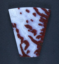 Gorgeous  Paul Bunyan Plume Agate Designer Cabochon  #20694