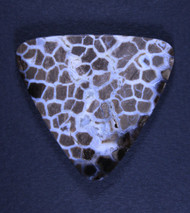 Rare Texas Shrinkwood Designer Cabochon  #20719