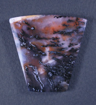 Exceptional Snake River Dendritic Agate Cabochon  #20741