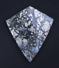 Exceptional Nipomo Marcasite Agate Collectors Cabochon   #20750