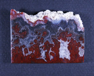 Gorgeous  Paul Bunyan Plume Agate Designer Cabochon  #20857