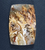 Exceptional Graveyard Point Plume Agate Cabochon  #20893