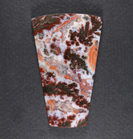 Colorful Canadian River Plume Agate Designer Cabochon  #20944