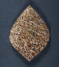 Dramatic Gem Dinosaur Bone Cabochon-   #20985