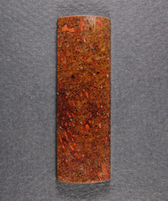 Beautiful Agatized Dino Bone Cabochon- Red and Orange  #20999
