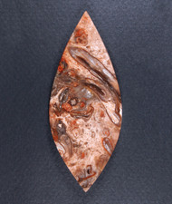 Gorgeous Pink Petrified Palm Wood Designer Cabochon  #21023