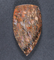 Multi-colored Dinosaur Bone Cabochon- Pink and Orange  #21045