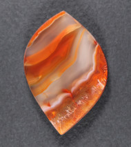 Colorful Condor Agate Designer Cabochon,  w Sagenite-   #21116