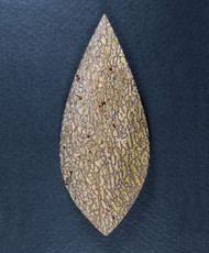 Dramatic Gem Dinosaur Bone Cabochon-   #21150