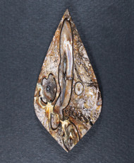 Dramatic Edison Petrified Palm Wood Designer Cabochon  #21161