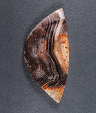 Rare Hells Canyon Petrified Wood Designer Cabochon  #21166