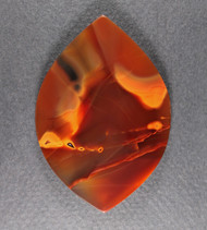 Unique Piranha Agate Designer Cabochon #21186