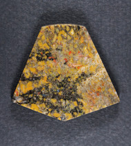 Multi-colored Dinosaur Bone Cabochon- Red, Yellow and Orange  #21194