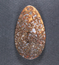 Dramatic Gem Dinosaur Bone Cabochon-   #21215