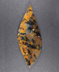Exceptional Snake River Dendritic Agate Cabochon  #21251