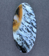 Exceptional Snake River Dendritic Agate Cabochon   #21262