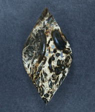 Gorgeous Indonesian Petrified Palm Wood Designer Cabochon  #21271