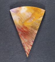 Colorful Arizona Rainbow Wood Designer Cabochon  #21283