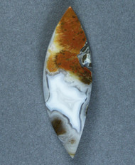 Gorgeous Designer Cabochon of Nipomo Sagenite Agate-  #21284